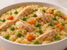 Crockpot Chicken & Rice Recipe