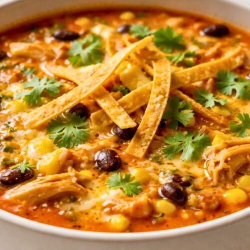 Slow-Cooked Chicken Enchilada Soup Recipe