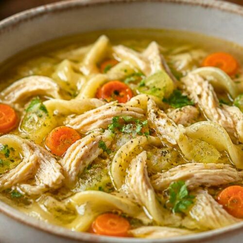Instant Pot Chicken Noodle Soup Recipe